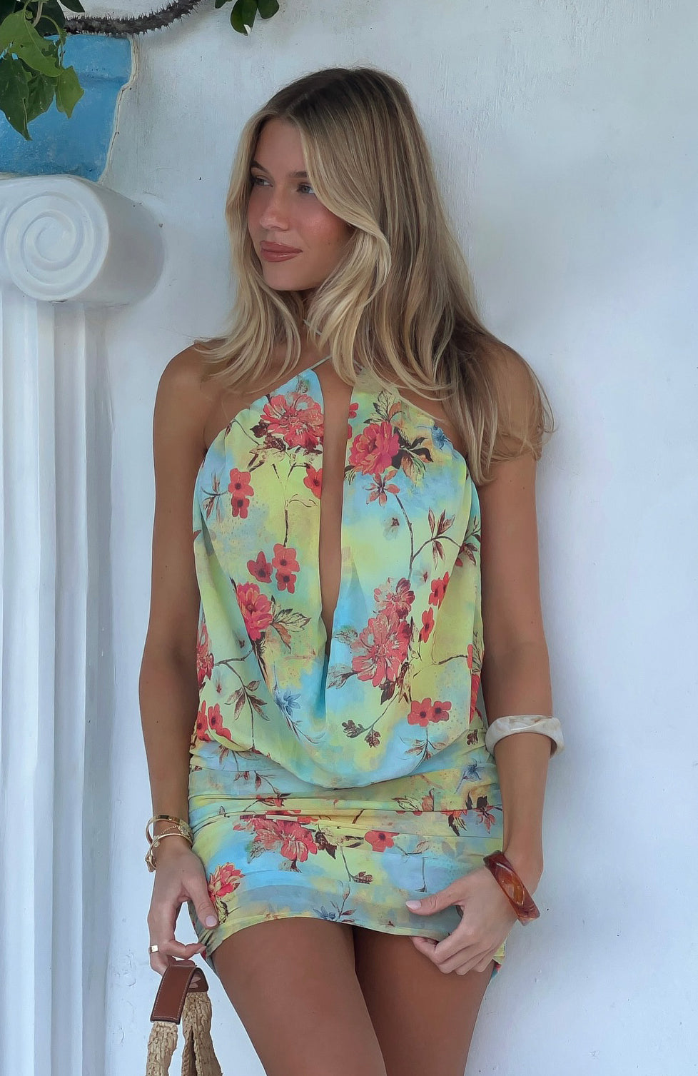 Silver Springs Mini Dress Spring Dream